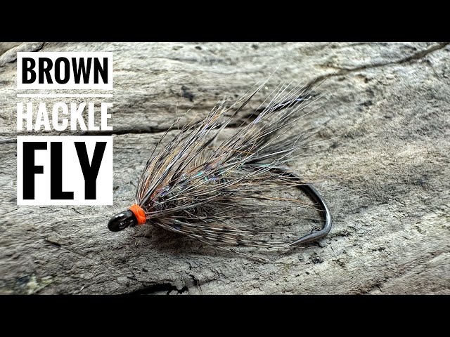 BROWN HACKLE FLY. SMALL SEA TROUT SNACK FOR THE PICKY ONES IN THE SHALLOW  WATER 🎣💯 
