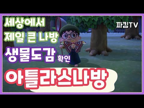 모여봐요 동물의 숲 4월에 추가된 모든 곤충 잡는 방법 벼룩 물장군부터 아틀라스나방 비단벌레까지 mp3 모여봐요 동물의 숲 4월에 추가된 모든 곤충 잡는 방법 벼룩 물장군부터 아틀라스나방 비단벌레까지 Mp3