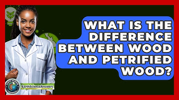 What Is The Difference Between Wood And Petrified Wood? - Earth Science Answers