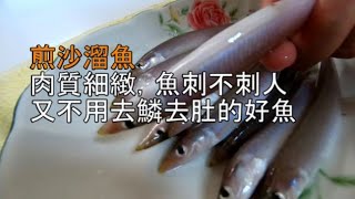 【台語版】煎沙溜魚的技巧澎湖人日常 