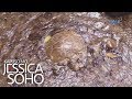 Kapuso Mo, Jessica Soho: Magsasaka, nakapulot daw ng itlog ng dinosaur?