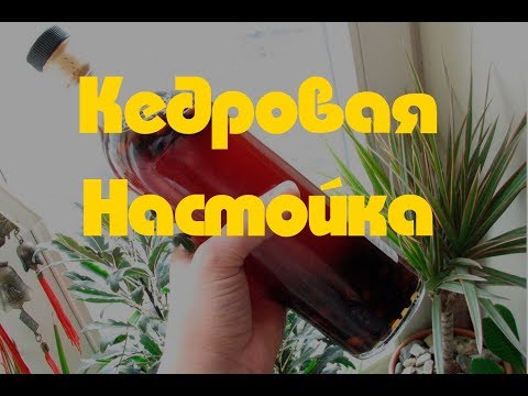 Кедровка.  Рецепт Кедровки на Кедровом Орехе. Как Сделать Кедровку? Вкусная Кедровая Настойка, Водка