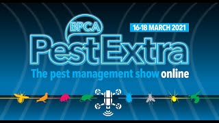 Too Much To See As Pestextra 2021 Goes Viral