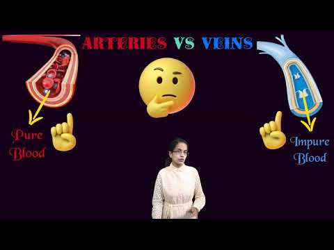 Arteries and Veins: Know the Differences (Exceptions - Pulmonary Artery & Pulmonary Vein) Science