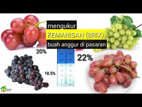 Video: Apa Perbedaan Antara Anggur Semi-manis Dan Anggur Manis?