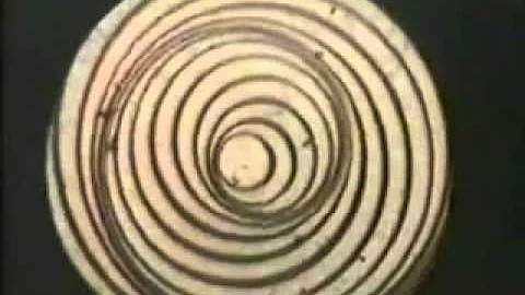 Joe Byrd and The Field Hippies - Kalyani