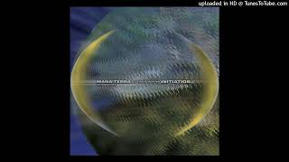 Mana Terra (DJ TOOL &amp; Whrikk) — Frogmoth