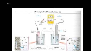 electcrochemical cell potential