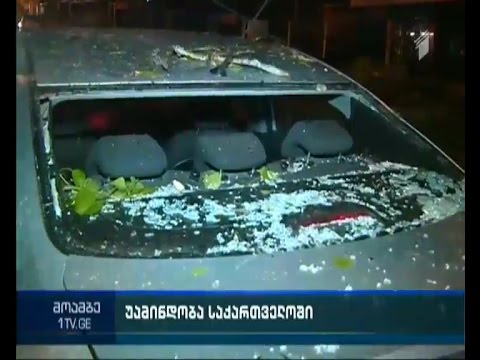 მოგლეჯილი ხეები და დაზიანებული ინფრასტრუქტურა