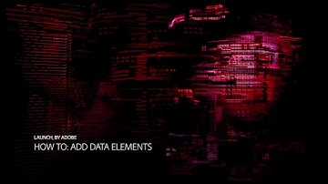 Launch Data Elements