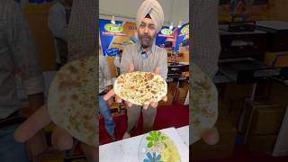 Mini Chef Electric Tandoor