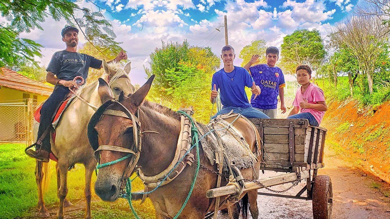 ANDANDO DE CARROÇA NA ROÇA PELA PRIMEIRA VEZ - YouTube