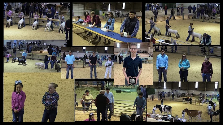 Bailey County Junior Livestock Show 2020