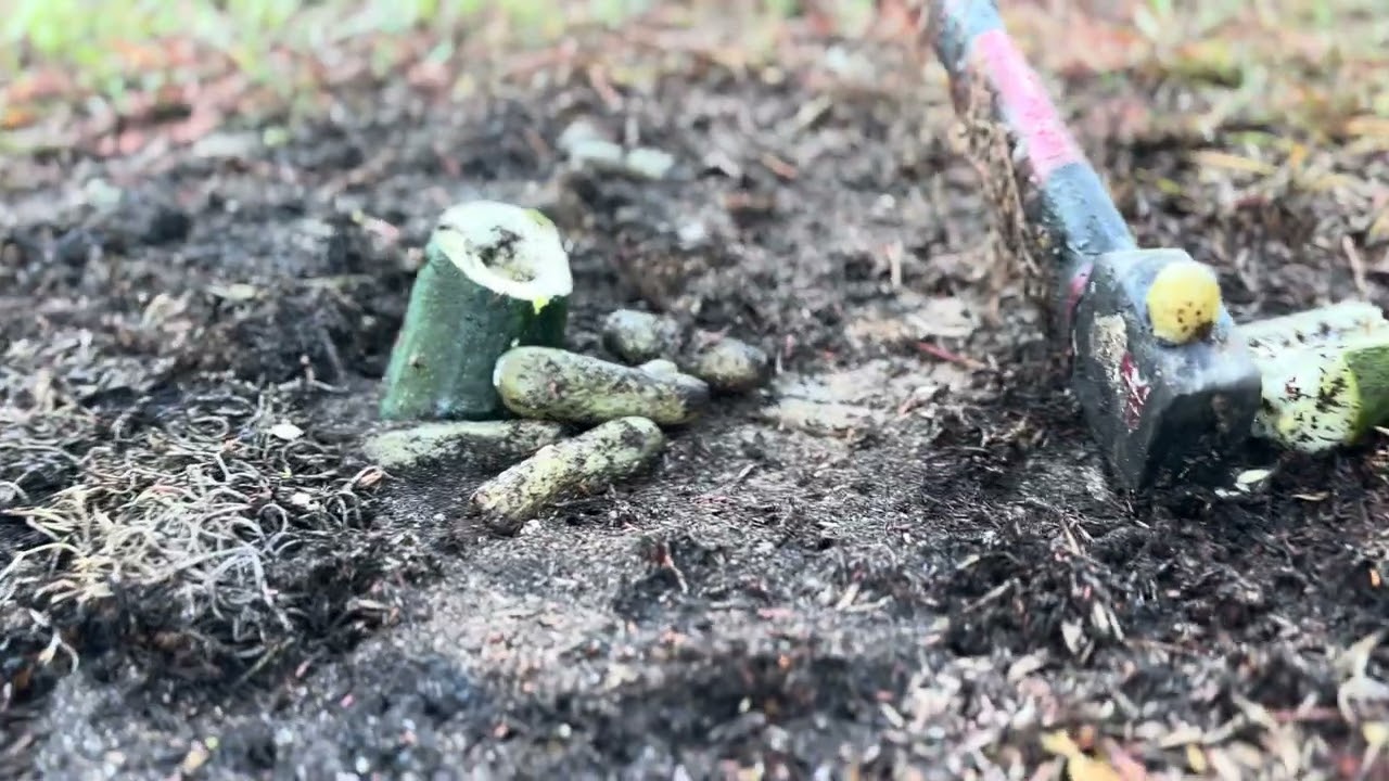 The great battle of Hasenius 