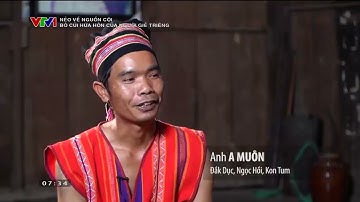 Nẻo về nguồn cội  Bó củi hứa hôn của ngươi Giẻ Triêng