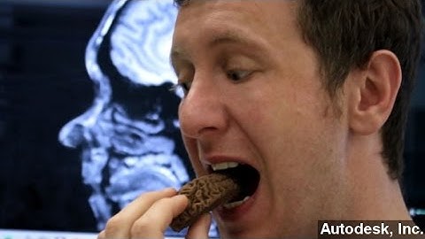 Cocoa Could Be As Good For Memory As It Is For A Sweet Tooth