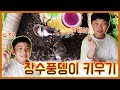 장수풍뎅이 키우기 도전! 승형제TV