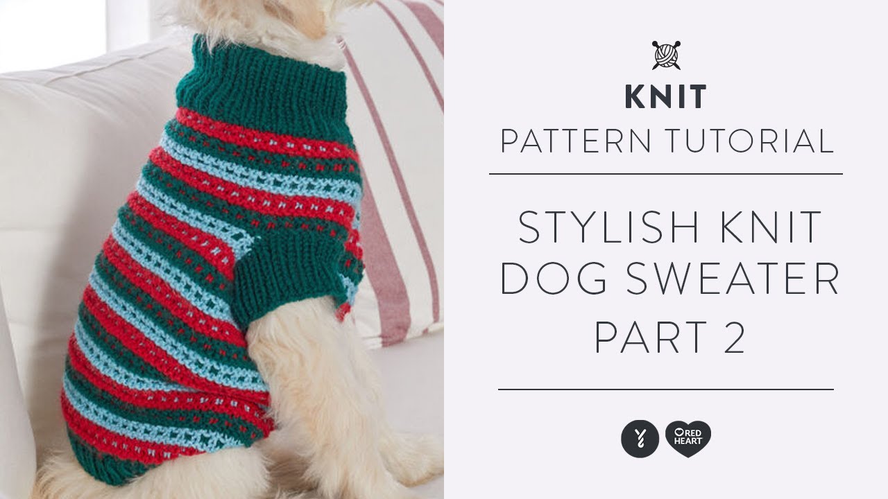 How to Knit a Dog Sweater with Marly Bird Knitting Tutorial Part 2