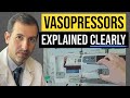 Vasopressors explained clearly norepinephrine epinephrine vasopressin dobutamine