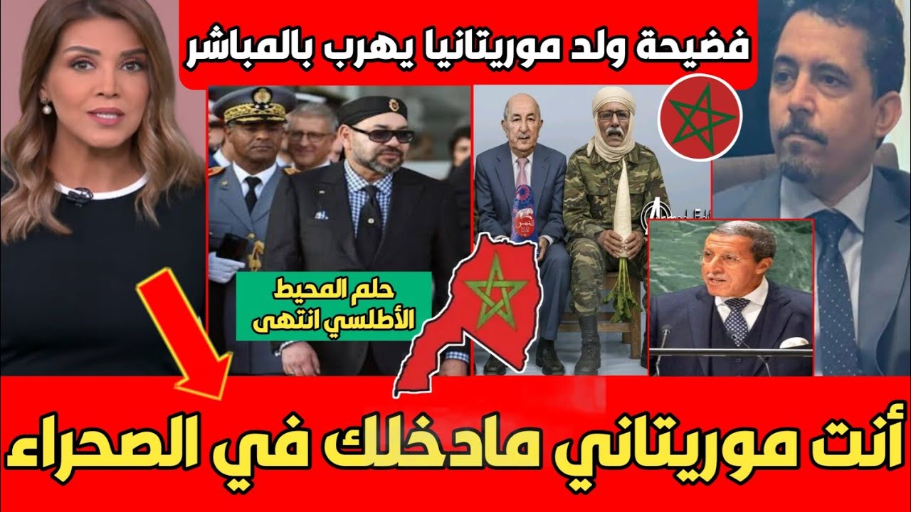 عاجل مقدمة البرنامج تجفف الأرض بالبشير بشرايا انت موريتاني مادخلك في الصحراء المغربية هرب مسكين