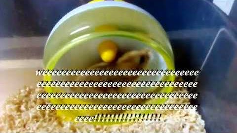 GROUP 5 - UM NSTP - CWTS 1 PROJECT