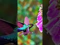 Shocking Facts About Animals #facts #shorts