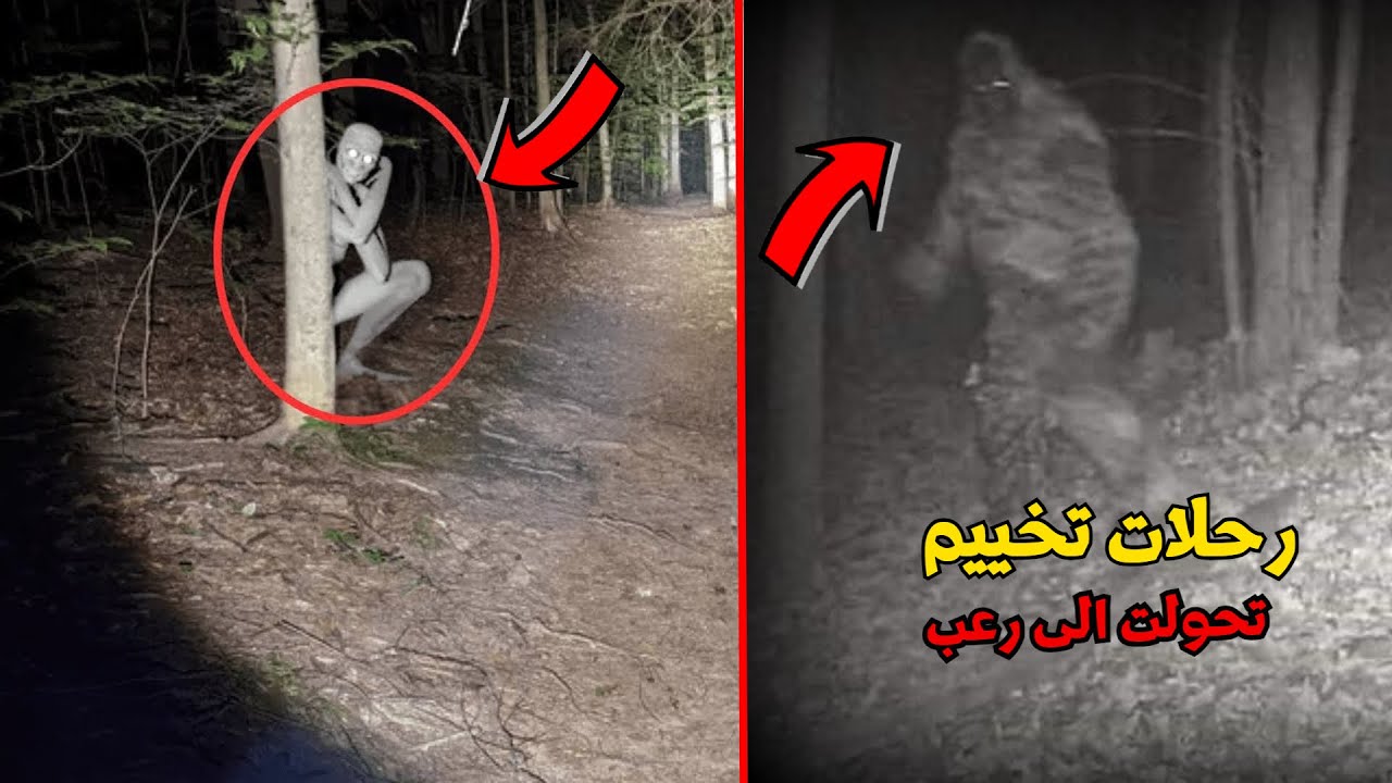 7 مشاهد حقيقية مرعبة صورتها عدسات الكاميرا صدفة في رحلات التخييم