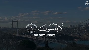 وَعْدَ اللَّهِ ۖ لَا يُخْلِفُ اللَّهُ وَعْدَهُ - (آيات من سورة الروم) - القارئ ماهر المعيقلي