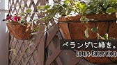 100均diy ダイソーの材料だけで作れるハンギングバスケット Hanging Basket That Can Be Made Only From Daiso S Materials Youtube 100均diy ダイソーの材料だけで作れるハンギングバスケット Hanging Basket That Can Be Made Only From Daiso S Materials Youtube