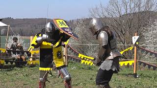 Ritterkampf screenshot 5