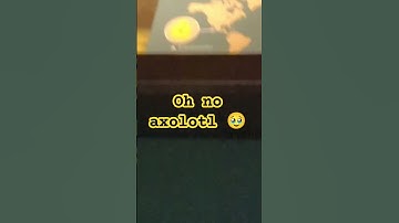 #adventure #axolotl is about to #extinction please like and subs for more #shorts thanks 👍
