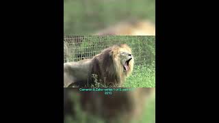 Cameron & Zabu~Series 1 Of 3, Part 4 Of 7