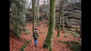 En Büyük Yanlişim Resimi
