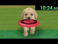 I tried speedrunning Nintendogs and experienced a bit too much emotional trauma