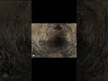 Sewer Camera Inspection Entering Septic System | Clinton CT