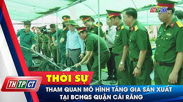 Tham quan mô hình tăng gia sản xuất tại Ban CHQS quận Cái Răng| Cần Thơ TV