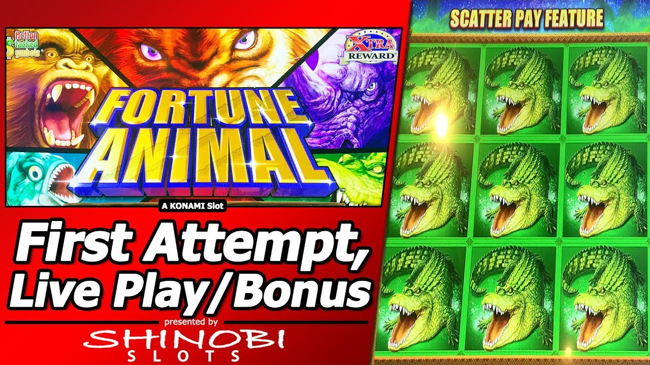 Fortune Animal Slot - Live Play, Nice Line Hit and Bonuses in New Konami game