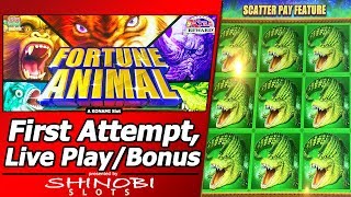Fortune Animal Slot - Live Play, Nice Line Hit and Bonuses in New Konami game