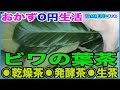 【おかず0円生活】夏はビワの葉茶を飲もう♪ *乾燥茶*発酵茶*生茶