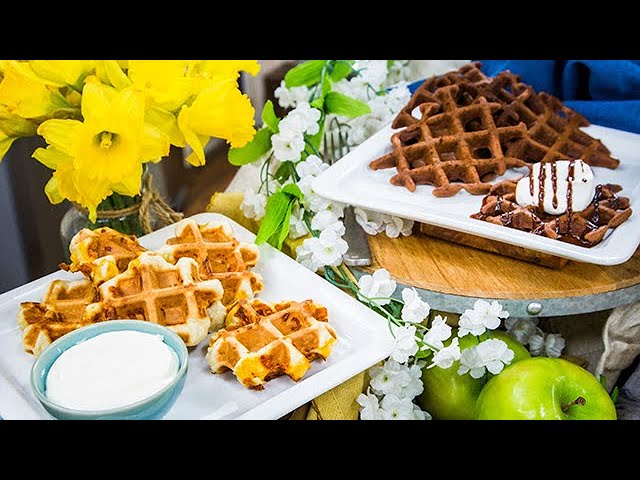 Delish By Dash Waffle Bite Maker 