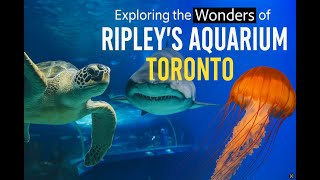 Exploring the Wonders of Ripley’s Aquarium Toronto