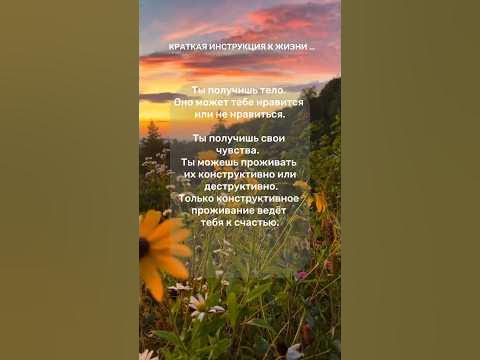 Краткая инструкция к жизни #psychology #психология #жизнь #live #happy ...