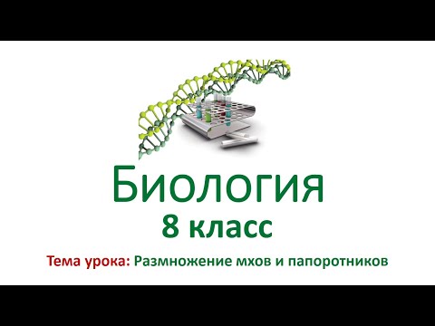 Биология 8 класс. Тема урока: "Размножение мхов и папоротников".