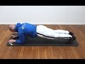 Das 5 minuten plank workout