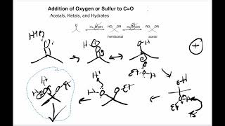 Acid Catalyzed Acetal Formation