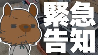 緊急告知!!Kapi Lab.史上初のめちゃ面白そうな○○が決定!!コレは我がラボでしか見れない内容!?