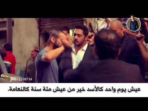 مهرجان علي ساعه الحرب بكون جامد