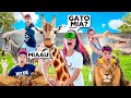 Desafio gato mia com animais exticos deu ruim 