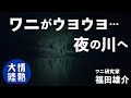 世界最大級!イリエワニの生息地で生態を守る福田雄介に密着