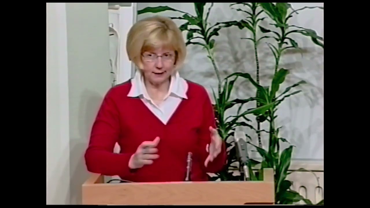 Fullmäktige - 15 Februari 2004